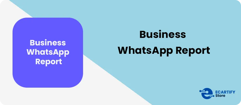 Business WhatsApp Report