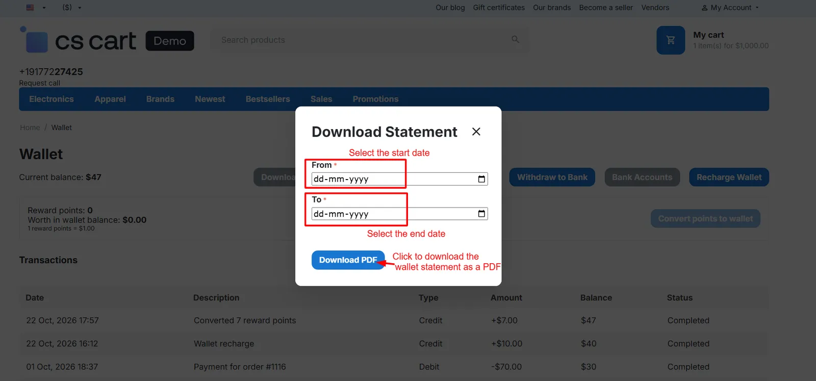 Wallet statement PDF